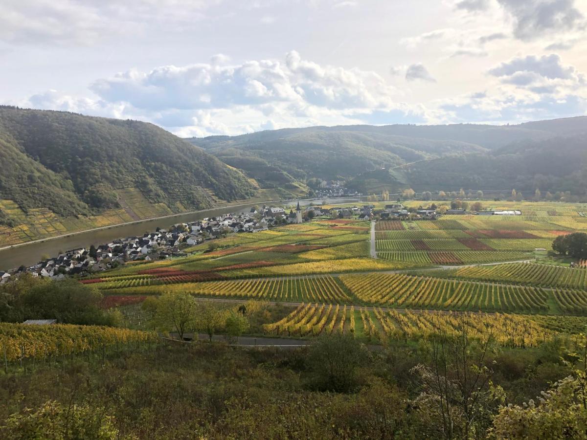 Ferienwohnung Probst Ellenz-Poltersdorf Luaran gambar